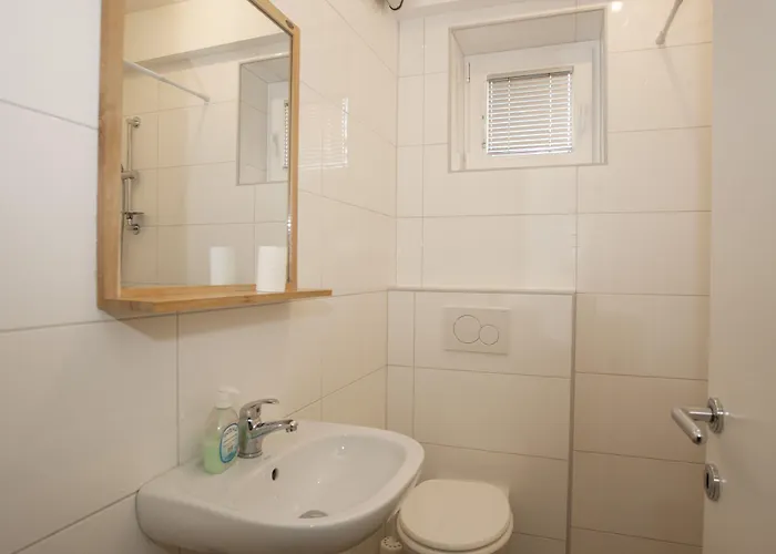 Guest house Celan 3*