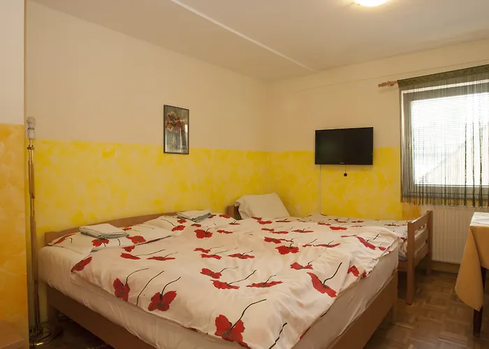 Celan 3* Spodnja Hajdina