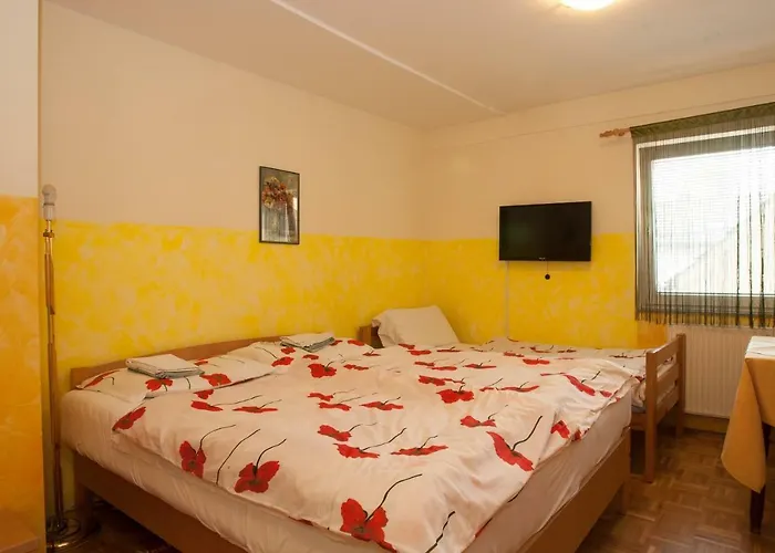Guest house Celan 3*